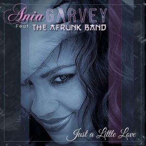 Pochette de disque de Ania Garvey featuring The Afrunk Band - Just A Little Love