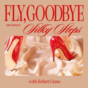 Pochette de disque de Silky Steps feat Robert Linna intitulé Fly, Goodbye